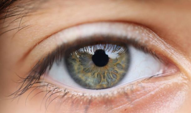 Día Mundial de las Lentillas